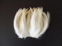 白毛（鶏の首毛）画像
