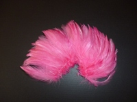 ピンク毛（鶏の首毛）画像